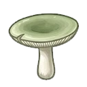 Green cracking russula