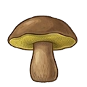 Моховик