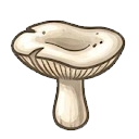 Short-stemmed russula