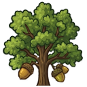 Oak
