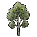Aspen